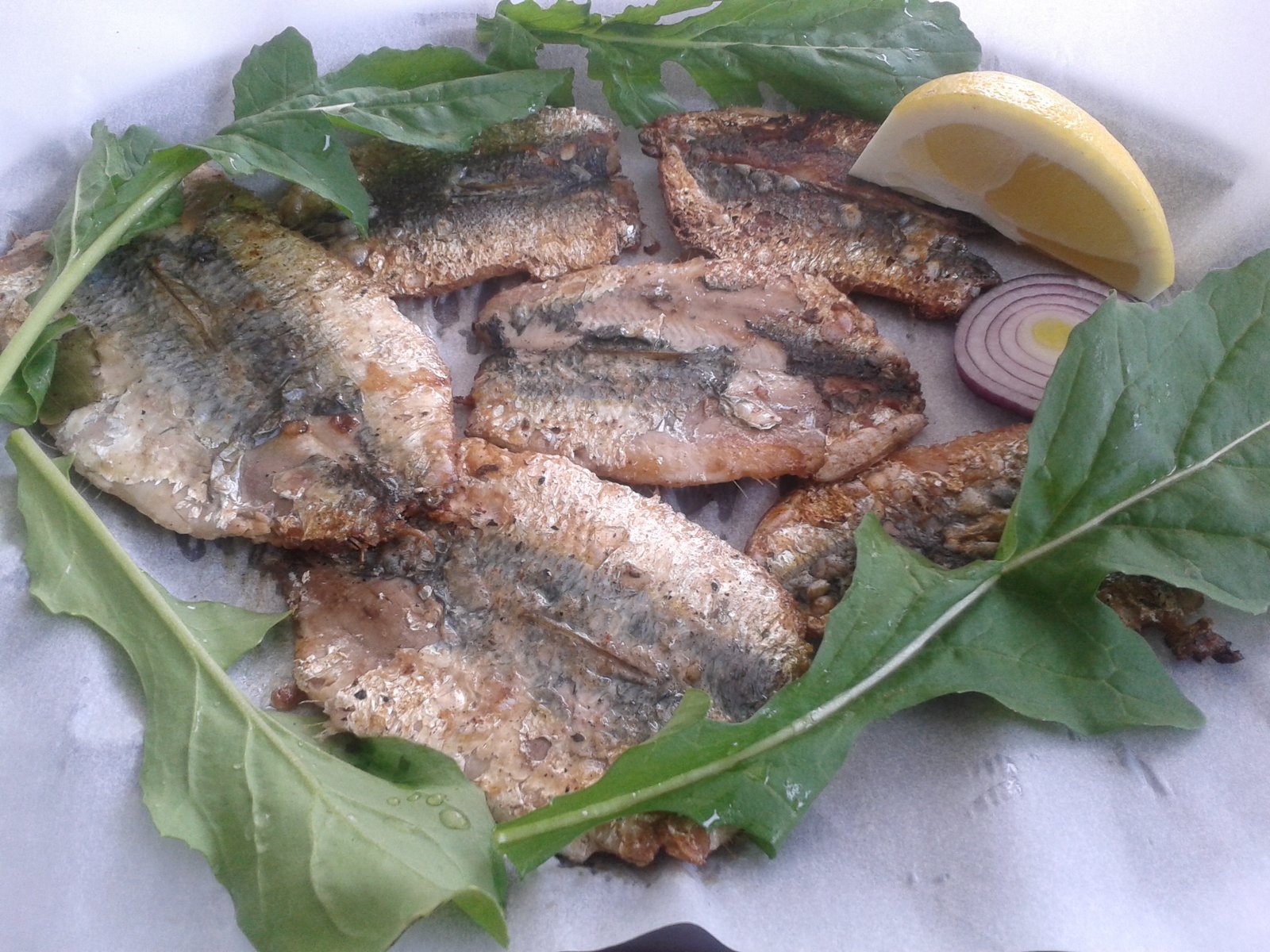 Grilled sardines served with lemon