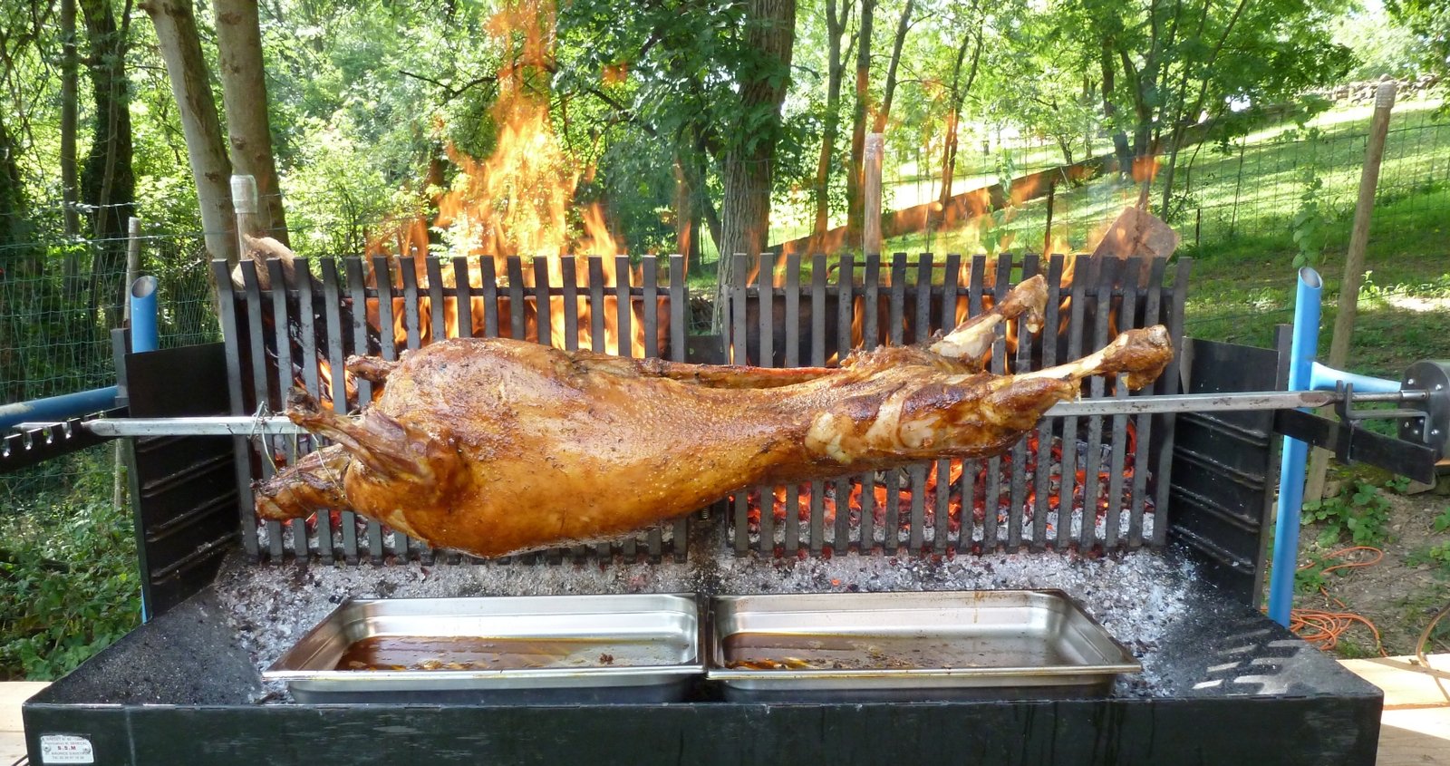 A whole lamb roasting upright before a vertical fire box, about two hours into cooking